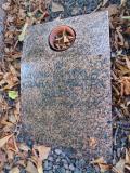 image of grave number 583316